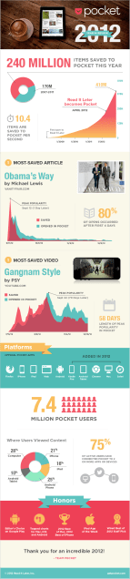 pocket-infographic