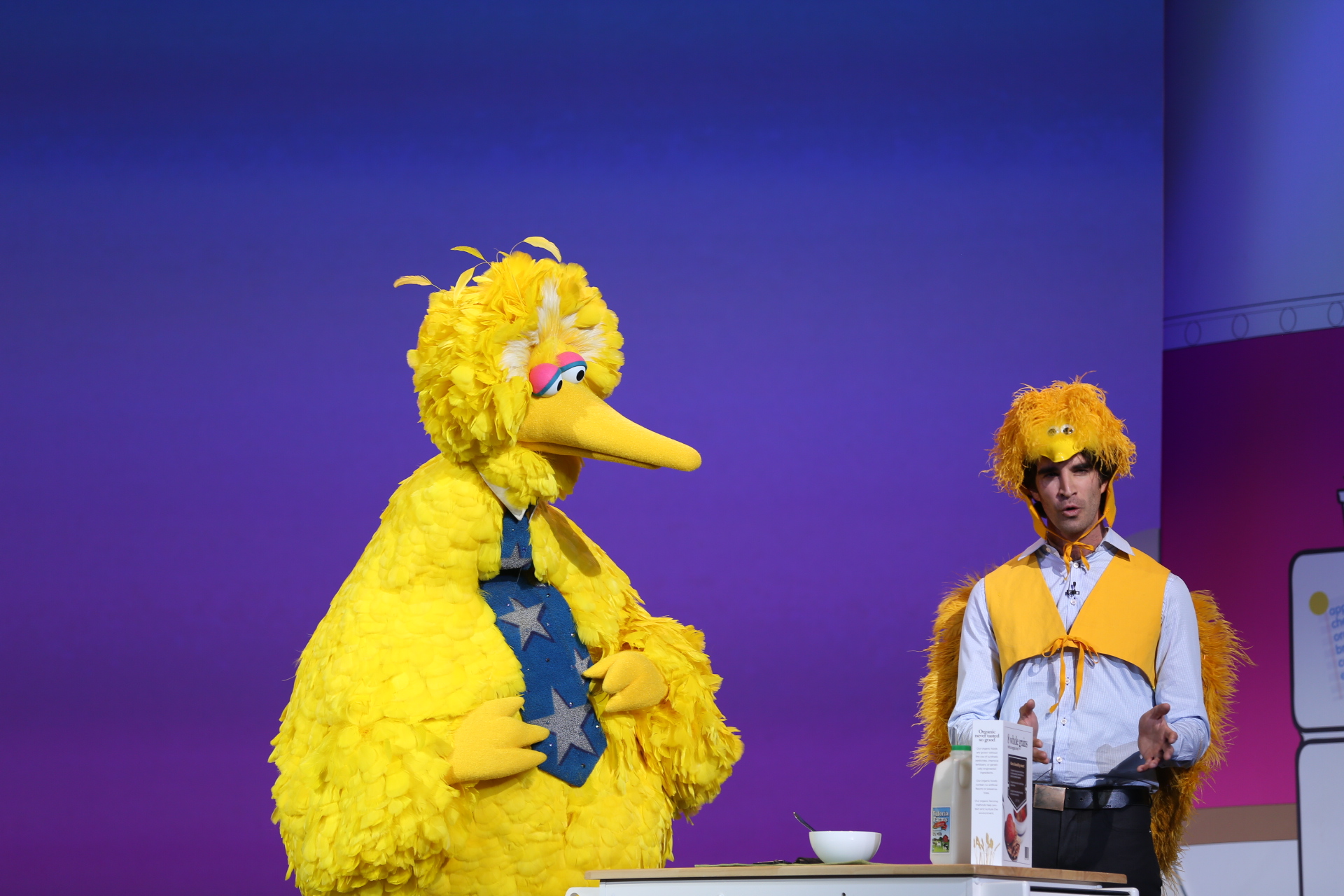 bigbird