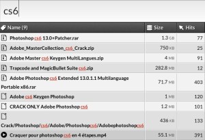 mega-search-cs6