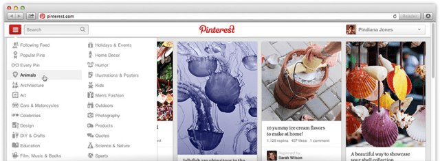 Pinterest Nav Close-Up