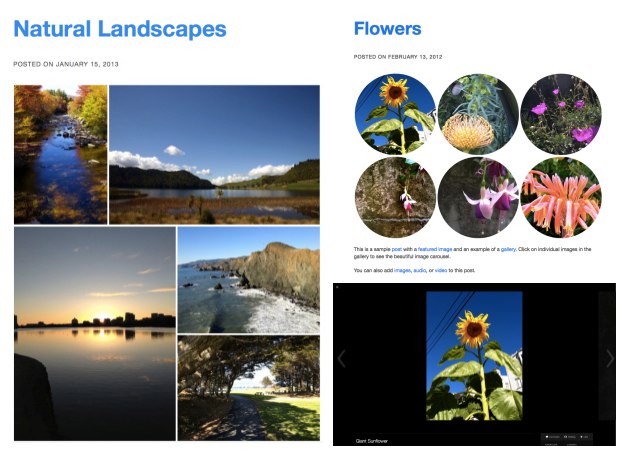 Showcase Your Creativity with a Portfolio Site — Blog — WordPress.com