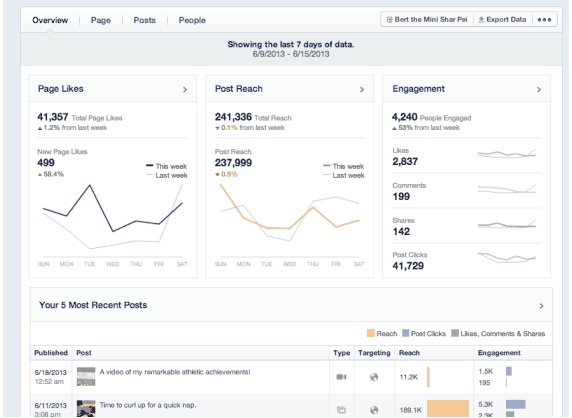 facebook page insights