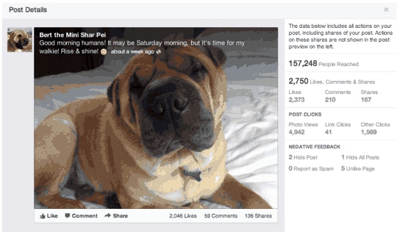 page insights