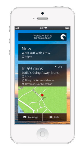 canary_nest_view