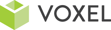 voxel logo