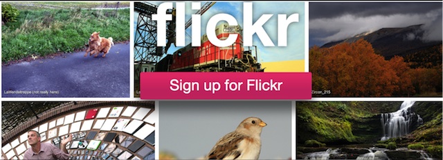 flickr