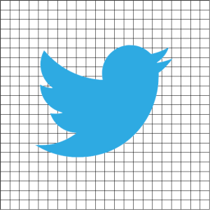 Twitter Growth
