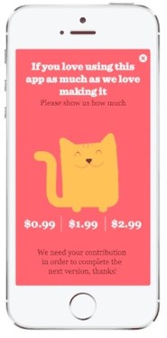 Cat-Video