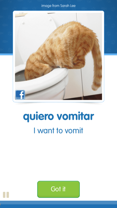 CatAcademy