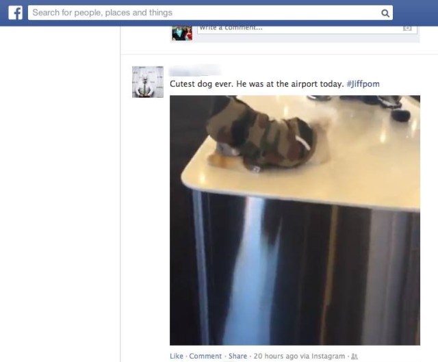 Facebook AUtoplay web