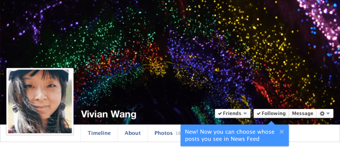 facebook following