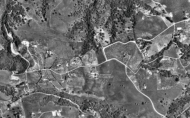 silicon-valley-orchards
