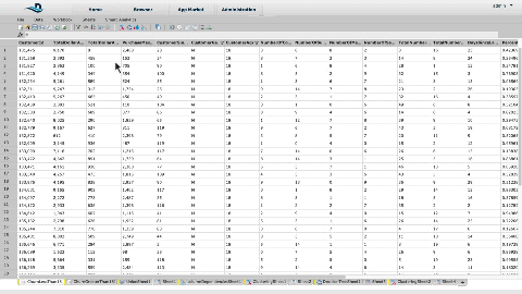 Datameer flipping from data to graphical views and back.