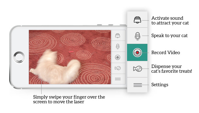 Kittyo app