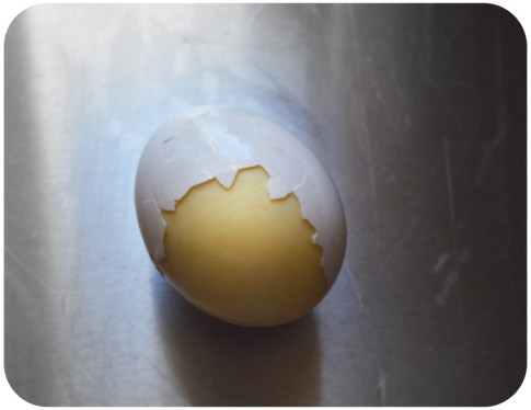 golden egg