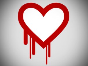 bleed