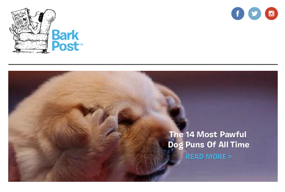BarkPost