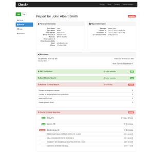 example report