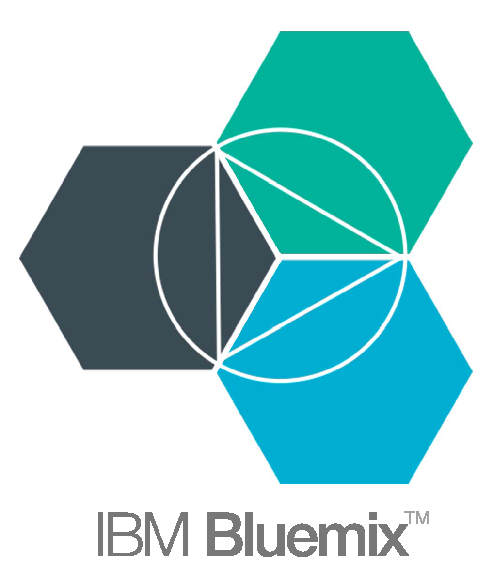 Bluemix Logo