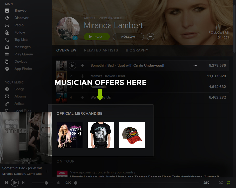 spotify_profile_miranda_v03 (1)