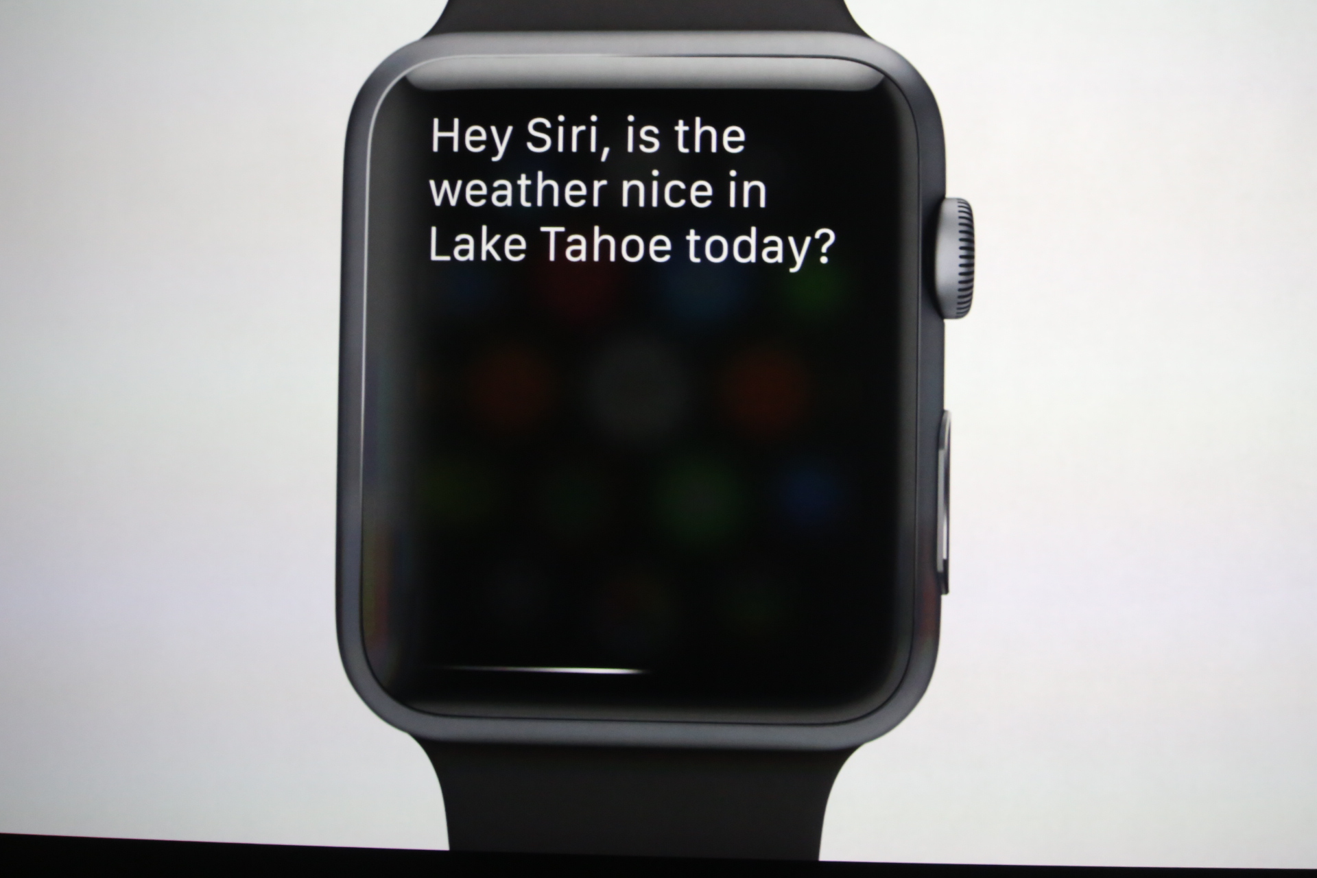 Siri Came Along For The Ride 
