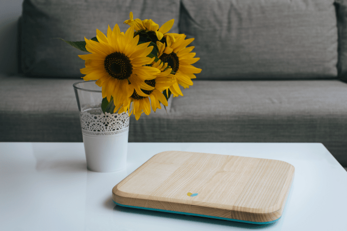 Bellabeat Balance 1