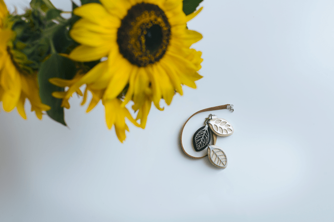 Bellabeat Leaf 1
