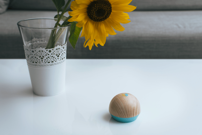 Bellabeat Shell 1