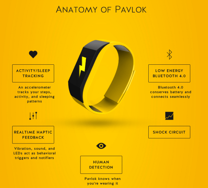 V2_PAVLOK