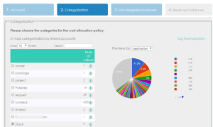 Cloudyn tag categorization screen.