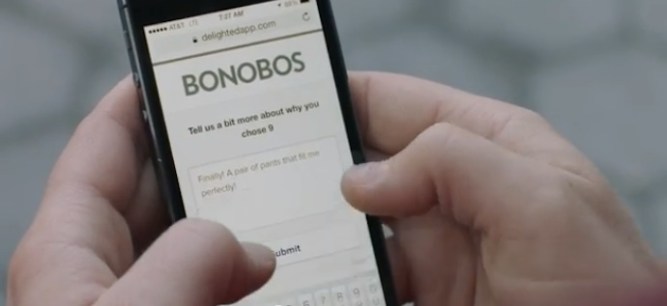 delighted bonobos