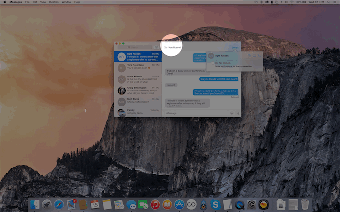 screenshare-controls