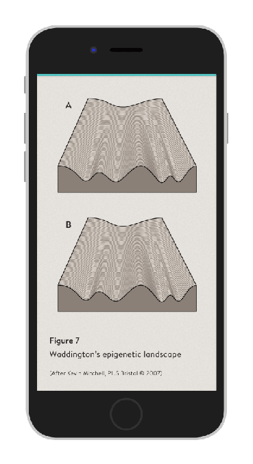 animated-diagram