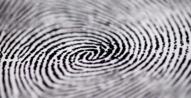 Fingerprint