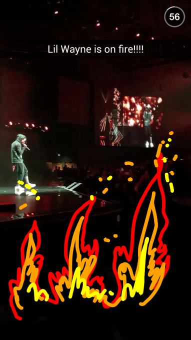 Wayne