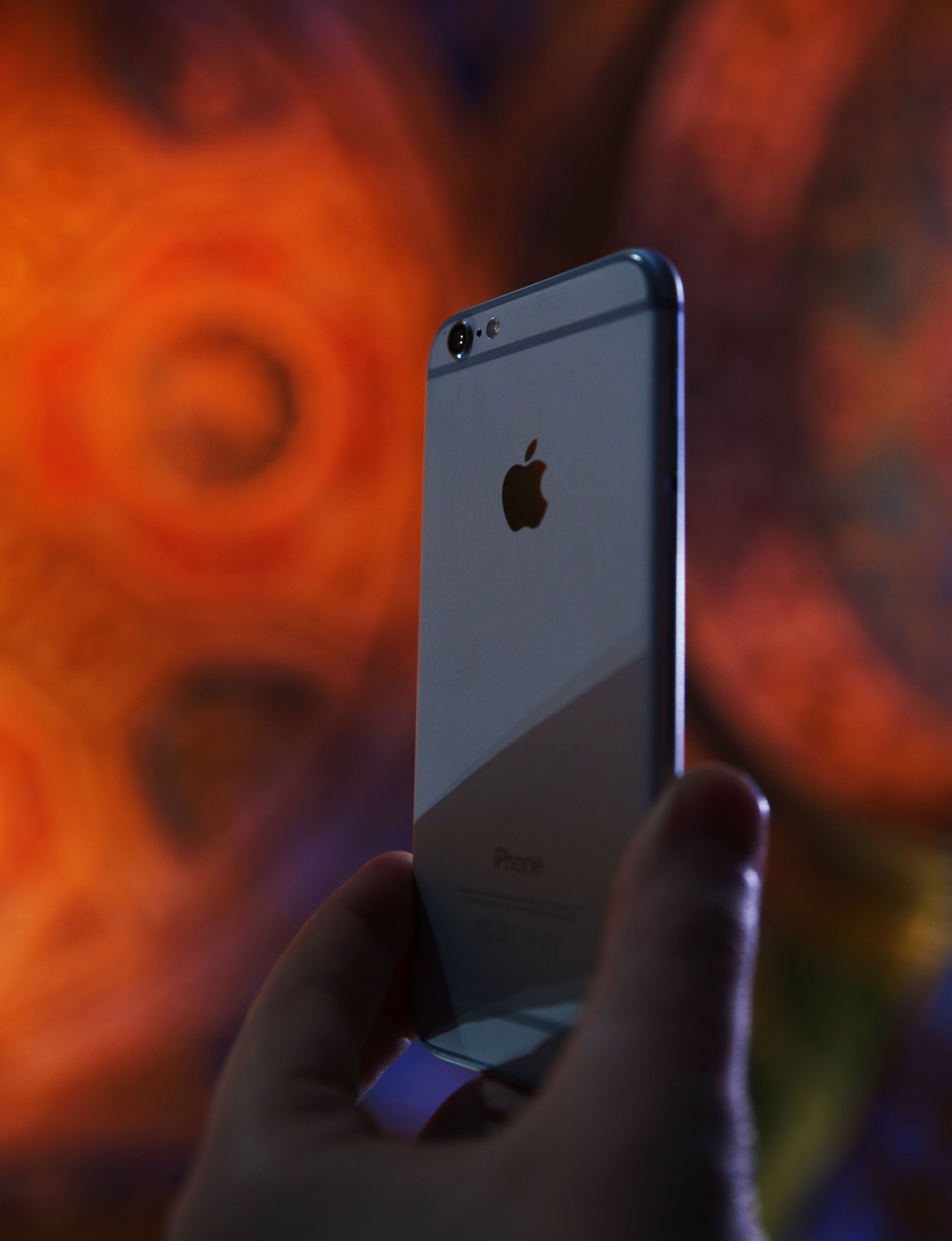iPhone 6 Rear 01
