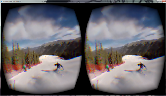 gannett oculus ski champions