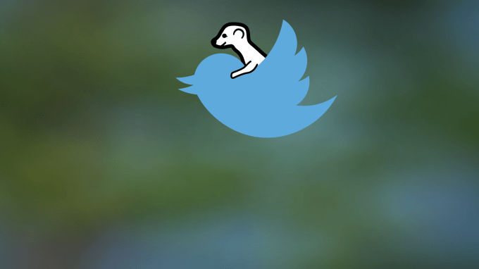 meerkat-twitter