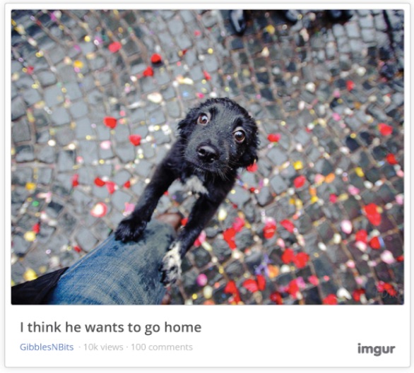 imgur embed screenshot