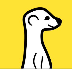 Meerkat meerkat