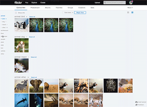 Flickr_Magic View