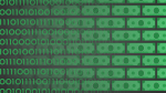 dollars, money, binary code