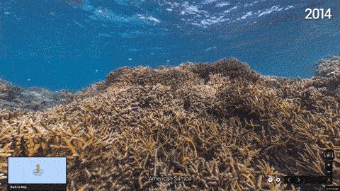 American-Samoa-Before-and-After-rotation