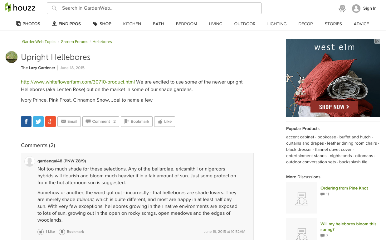 houzz_gardenweb