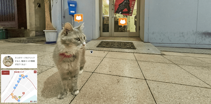 cat map 3