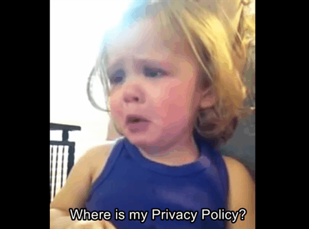 Grade F: Lack of a Privacy Policy 
