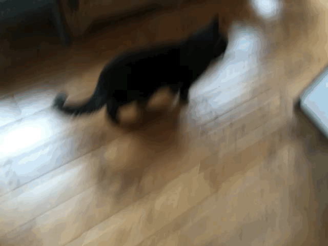 Made with Live GIF (4)