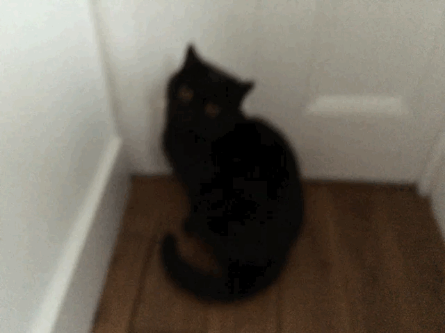 Made with Live GIF (5)