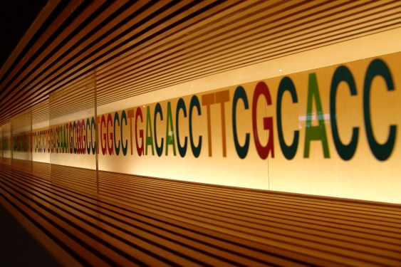 DNA