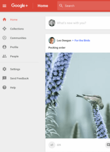 Screen Shot 2015-11-17 at 11.03.11 AM